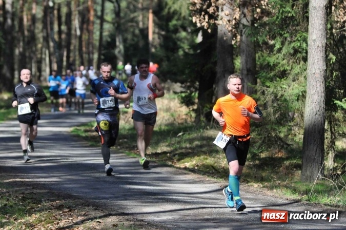 Zdjęcie w galerii na portalu naszraciborz.pl: I Kuźniański Półmaraton Leśny - zdecydowana wygrana Ukraińca wiadomości z regionu