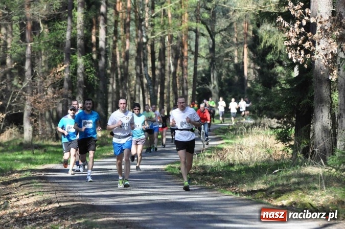 Zdjęcie w galerii na portalu naszraciborz.pl: I Kuźniański Półmaraton Leśny - zdecydowana wygrana Ukraińca wiadomości z regionu