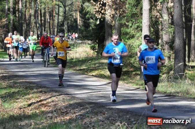 Zdjęcie w galerii na portalu naszraciborz.pl: I Kuźniański Półmaraton Leśny - zdecydowana wygrana Ukraińca wiadomości z regionu