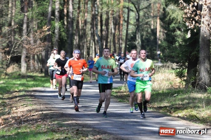 Zdjęcie w galerii na portalu naszraciborz.pl: I Kuźniański Półmaraton Leśny - zdecydowana wygrana Ukraińca wiadomości z regionu