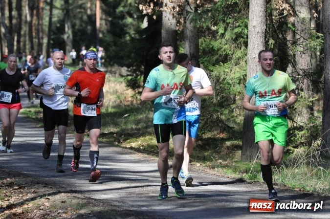 Zdjęcie w galerii na portalu naszraciborz.pl: I Kuźniański Półmaraton Leśny - zdecydowana wygrana Ukraińca wiadomości z regionu