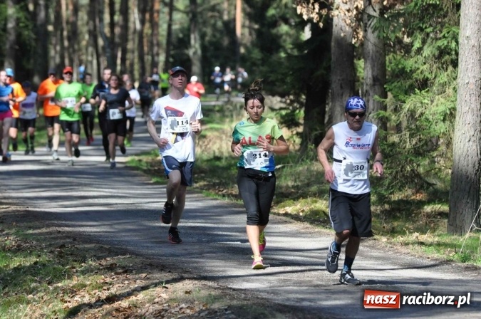Zdjęcie w galerii na portalu naszraciborz.pl: I Kuźniański Półmaraton Leśny - zdecydowana wygrana Ukraińca wiadomości z regionu