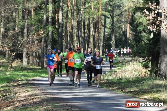 Zdjęcie w galerii na portalu naszraciborz.pl: I Kuźniański Półmaraton Leśny - zdecydowana wygrana Ukraińca wiadomości z regionu