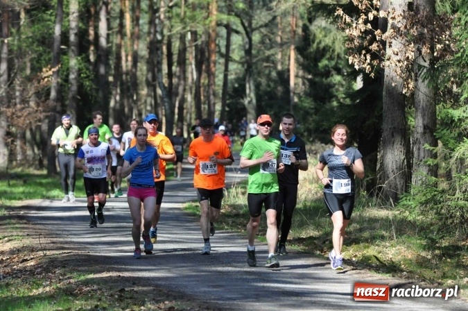 Zdjęcie w galerii na portalu naszraciborz.pl: I Kuźniański Półmaraton Leśny - zdecydowana wygrana Ukraińca wiadomości z regionu
