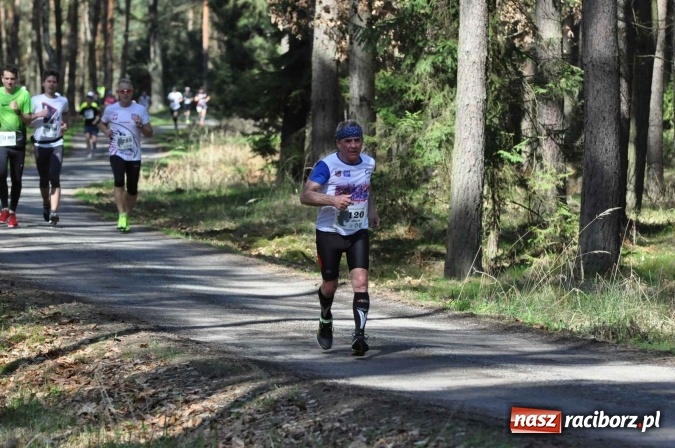 Zdjęcie w galerii na portalu naszraciborz.pl: I Kuźniański Półmaraton Leśny - zdecydowana wygrana Ukraińca wiadomości z regionu