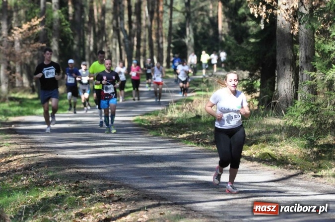 Zdjęcie w galerii na portalu naszraciborz.pl: I Kuźniański Półmaraton Leśny - zdecydowana wygrana Ukraińca wiadomości z regionu