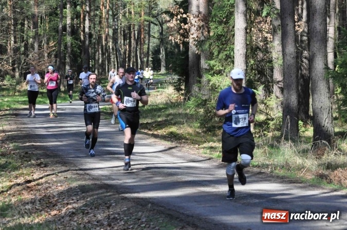 Zdjęcie w galerii na portalu naszraciborz.pl: I Kuźniański Półmaraton Leśny - zdecydowana wygrana Ukraińca wiadomości z regionu