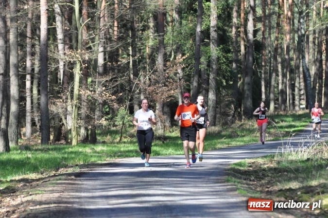 Zdjęcie w galerii na portalu naszraciborz.pl: I Kuźniański Półmaraton Leśny - zdecydowana wygrana Ukraińca wiadomości z regionu
