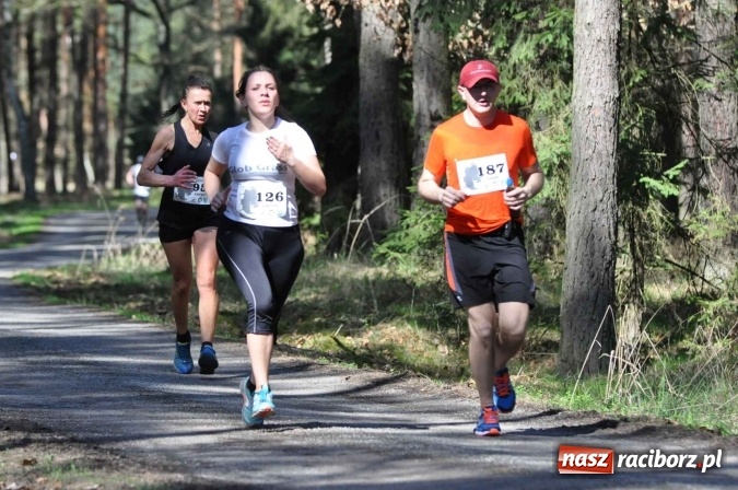 Zdjęcie w galerii na portalu naszraciborz.pl: I Kuźniański Półmaraton Leśny - zdecydowana wygrana Ukraińca wiadomości z regionu