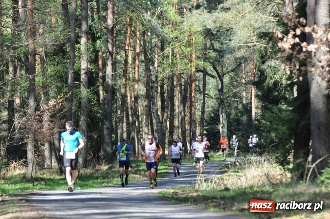 Zdjęcie w galerii na portalu naszraciborz.pl: I Kuźniański Półmaraton Leśny - zdecydowana wygrana Ukraińca wiadomości z regionu