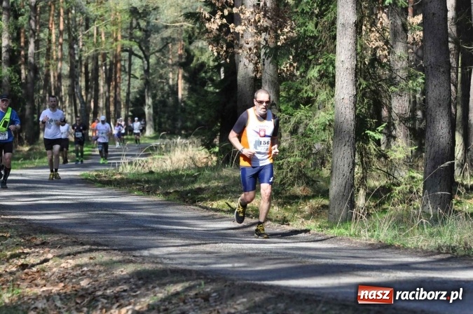 Zdjęcie w galerii na portalu naszraciborz.pl: I Kuźniański Półmaraton Leśny - zdecydowana wygrana Ukraińca wiadomości z regionu