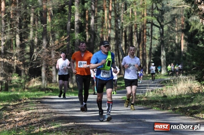 Zdjęcie w galerii na portalu naszraciborz.pl: I Kuźniański Półmaraton Leśny - zdecydowana wygrana Ukraińca wiadomości z regionu