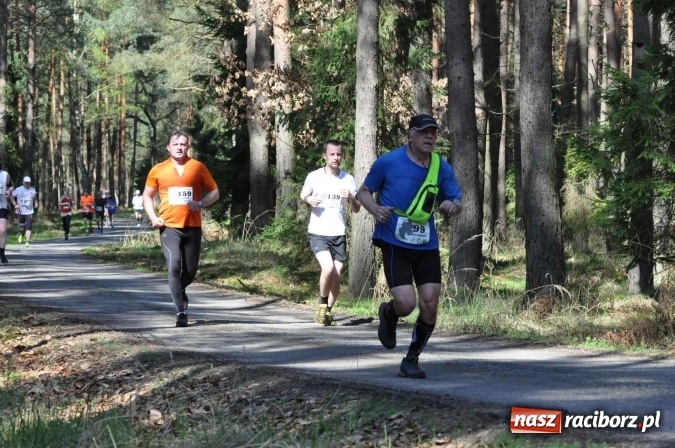Zdjęcie w galerii na portalu naszraciborz.pl: I Kuźniański Półmaraton Leśny - zdecydowana wygrana Ukraińca wiadomości z regionu
