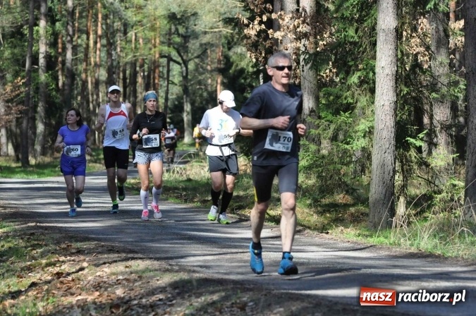 Zdjęcie w galerii na portalu naszraciborz.pl: I Kuźniański Półmaraton Leśny - zdecydowana wygrana Ukraińca wiadomości z regionu