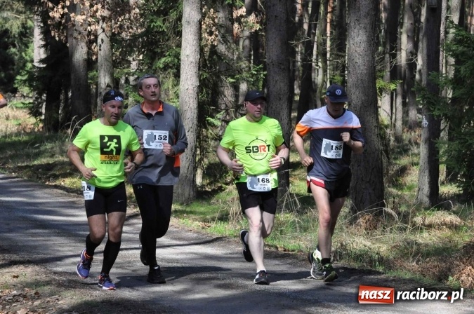 Zdjęcie w galerii na portalu naszraciborz.pl: I Kuźniański Półmaraton Leśny - zdecydowana wygrana Ukraińca wiadomości z regionu