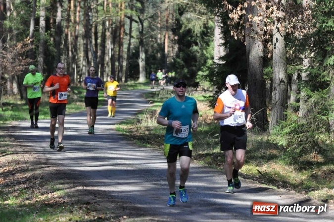 Zdjęcie w galerii na portalu naszraciborz.pl: I Kuźniański Półmaraton Leśny - zdecydowana wygrana Ukraińca wiadomości z regionu