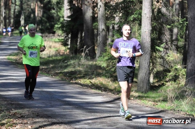 Zdjęcie w galerii na portalu naszraciborz.pl: I Kuźniański Półmaraton Leśny - zdecydowana wygrana Ukraińca wiadomości z regionu
