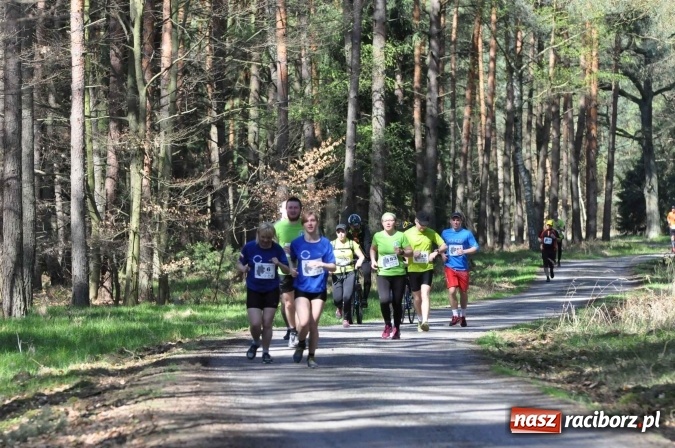 Zdjęcie w galerii na portalu naszraciborz.pl: I Kuźniański Półmaraton Leśny - zdecydowana wygrana Ukraińca wiadomości z regionu