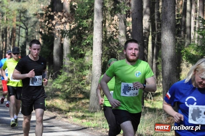 Zdjęcie w galerii na portalu naszraciborz.pl: I Kuźniański Półmaraton Leśny - zdecydowana wygrana Ukraińca wiadomości z regionu