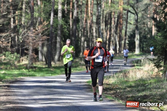Zdjęcie w galerii na portalu naszraciborz.pl: I Kuźniański Półmaraton Leśny - zdecydowana wygrana Ukraińca wiadomości z regionu