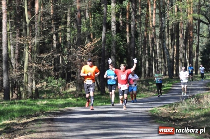 Zdjęcie w galerii na portalu naszraciborz.pl: I Kuźniański Półmaraton Leśny - zdecydowana wygrana Ukraińca wiadomości z regionu