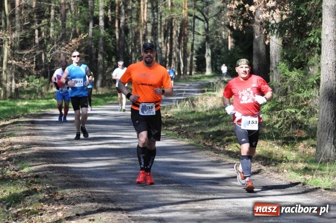 Zdjęcie w galerii na portalu naszraciborz.pl: I Kuźniański Półmaraton Leśny - zdecydowana wygrana Ukraińca wiadomości z regionu