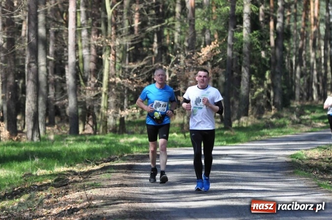 Zdjęcie w galerii na portalu naszraciborz.pl: I Kuźniański Półmaraton Leśny - zdecydowana wygrana Ukraińca wiadomości z regionu
