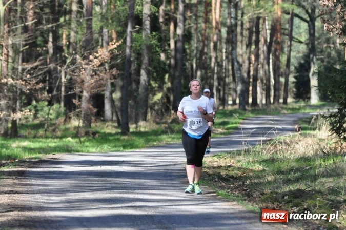 Zdjęcie w galerii na portalu naszraciborz.pl: I Kuźniański Półmaraton Leśny - zdecydowana wygrana Ukraińca wiadomości z regionu