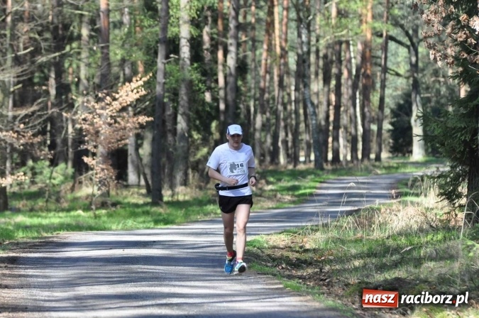 Zdjęcie w galerii na portalu naszraciborz.pl: I Kuźniański Półmaraton Leśny - zdecydowana wygrana Ukraińca wiadomości z regionu