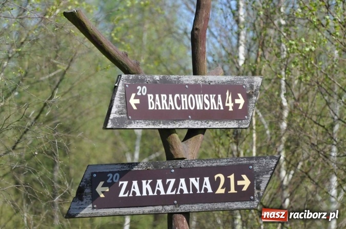 Zdjęcie w galerii na portalu naszraciborz.pl: I Kuźniański Półmaraton Leśny - zdecydowana wygrana Ukraińca wiadomości z regionu