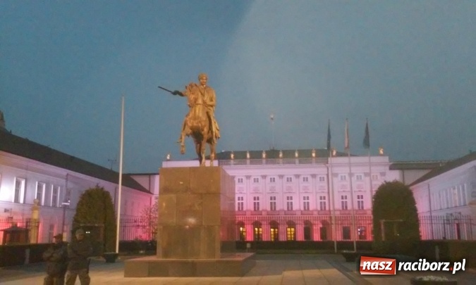 Zdjęcie w galerii na portalu naszraciborz.pl: Sukces uczennicy Liceum Plastycznego na Olimpiadzie Artystycznej wiadomości z regionu