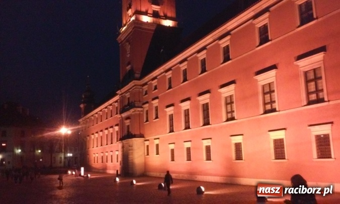 Zdjęcie w galerii na portalu naszraciborz.pl: Sukces uczennicy Liceum Plastycznego na Olimpiadzie Artystycznej wiadomości z regionu