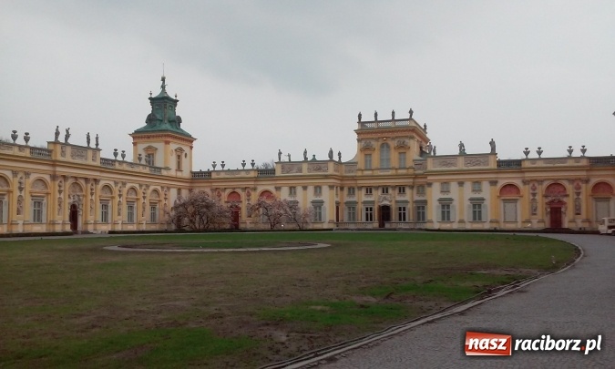 Zdjęcie w galerii na portalu naszraciborz.pl: Sukces uczennicy Liceum Plastycznego na Olimpiadzie Artystycznej wiadomości z regionu