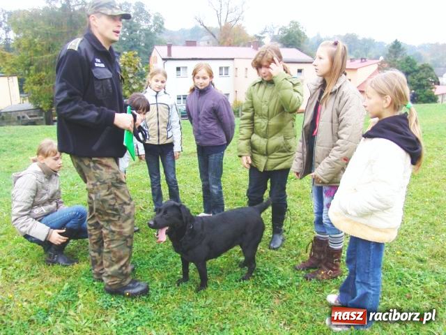 Zdjęcie w galerii na portalu naszraciborz.pl: Finał akcji Młody saper 2009 wiadomości z regionu