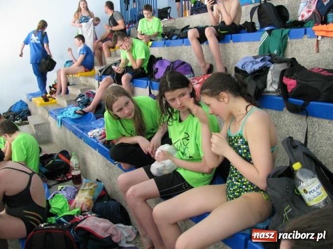 Zdjęcie w galerii na portalu naszraciborz.pl: Pływanie. Zwycięstwo w Lidze Klubów Śląskich  wiadomości z regionu