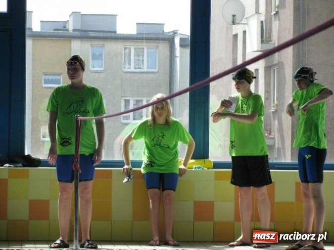 Zdjęcie w galerii na portalu naszraciborz.pl: Pływanie. Zwycięstwo w Lidze Klubów Śląskich  wiadomości z regionu