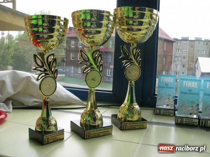 Zdjęcie w galerii na portalu naszraciborz.pl: Pływanie. Zwycięstwo w Lidze Klubów Śląskich  wiadomości z regionu