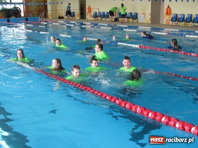 Zdjęcie w galerii na portalu naszraciborz.pl: Pływanie. Zwycięstwo w Lidze Klubów Śląskich  wiadomości z regionu