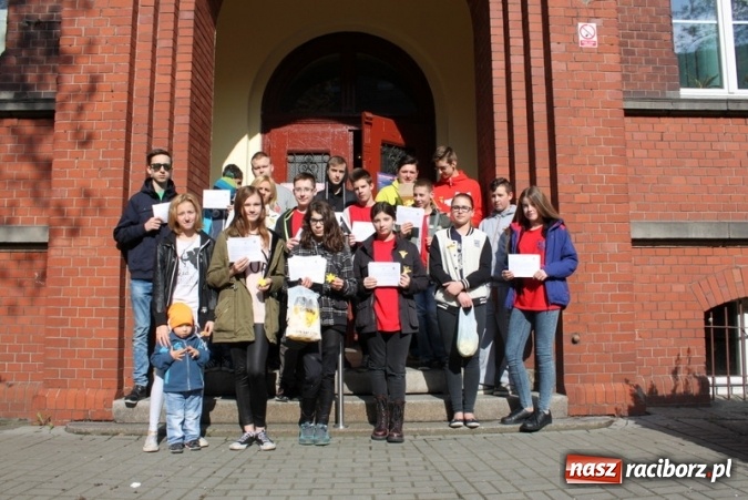 Zdjęcie w galerii na portalu naszraciborz.pl: Osiemnastu wolontariuszy z Gimnazjum nr 5 rozdawało żonkile  wiadomości z regionu