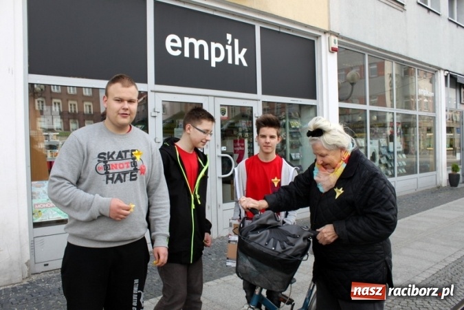 Zdjęcie w galerii na portalu naszraciborz.pl: Osiemnastu wolontariuszy z Gimnazjum nr 5 rozdawało żonkile  wiadomości z regionu