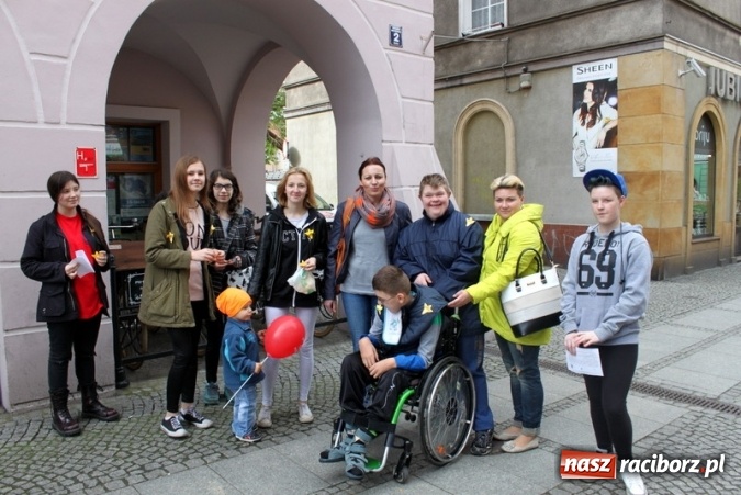 Zdjęcie w galerii na portalu naszraciborz.pl: Osiemnastu wolontariuszy z Gimnazjum nr 5 rozdawało żonkile  wiadomości z regionu