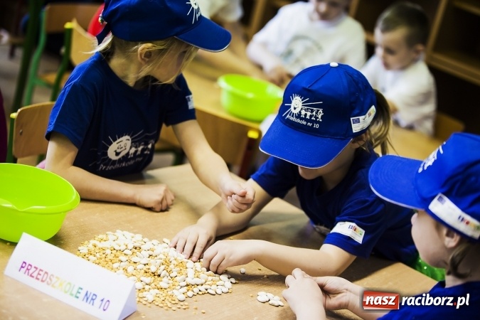 Zdjęcie w galerii na portalu naszraciborz.pl: Bajki, baśnie i legendy krajów Unii Europejskiej w Przedszkolu nr 10 wiadomości z regionu