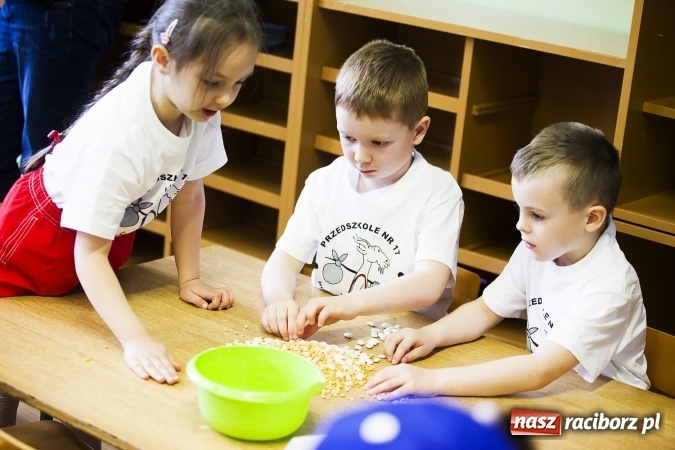 Zdjęcie w galerii na portalu naszraciborz.pl: Bajki, baśnie i legendy krajów Unii Europejskiej w Przedszkolu nr 10 wiadomości z regionu