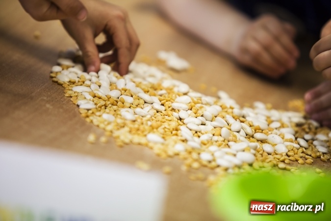 Zdjęcie w galerii na portalu naszraciborz.pl: Bajki, baśnie i legendy krajów Unii Europejskiej w Przedszkolu nr 10 wiadomości z regionu