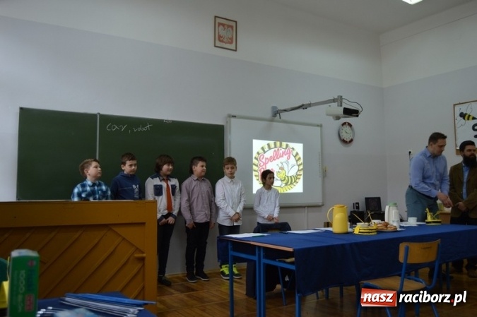 Zdjęcie w galerii na portalu naszraciborz.pl: Mistrzowie literowania spotkali się w SP 4 wiadomości z regionu