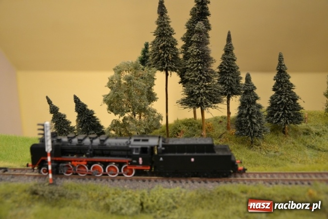 Zdjęcie w galerii na portalu naszraciborz.pl: Kolej - nie wszystko stracone, ale potrzeba większej aktywności wiadomości z regionu