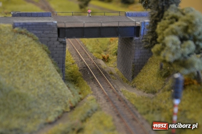 Zdjęcie w galerii na portalu naszraciborz.pl: Kolej - nie wszystko stracone, ale potrzeba większej aktywności wiadomości z regionu