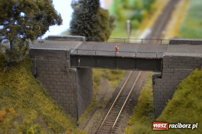 Zdjęcie w galerii na portalu naszraciborz.pl: Kolej - nie wszystko stracone, ale potrzeba większej aktywności wiadomości z regionu