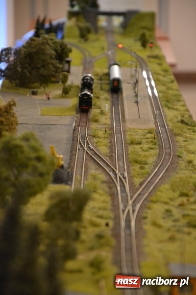 Zdjęcie w galerii na portalu naszraciborz.pl: Kolej - nie wszystko stracone, ale potrzeba większej aktywności wiadomości z regionu