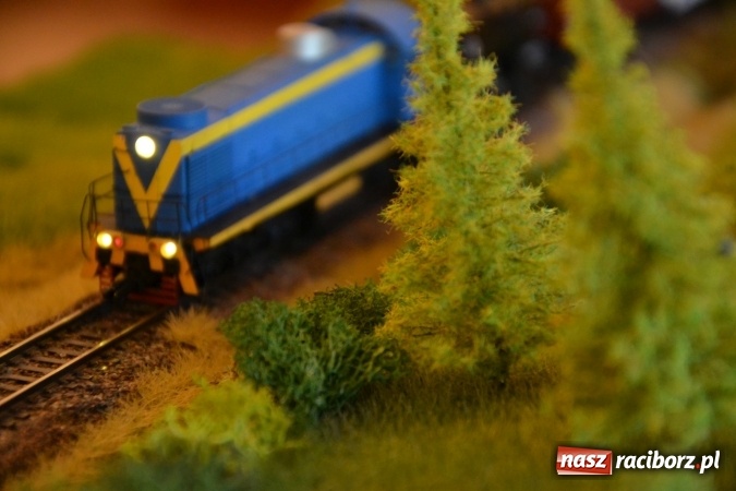 Zdjęcie w galerii na portalu naszraciborz.pl: Kolej - nie wszystko stracone, ale potrzeba większej aktywności wiadomości z regionu